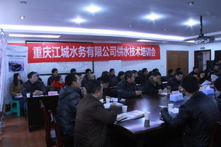 江城水務(wù)技術(shù)交流盛會(huì)圓滿落幕 聚焦前沿，共謀發(fā)展